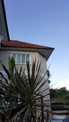 Belmont Road (D10), Detached #432385241